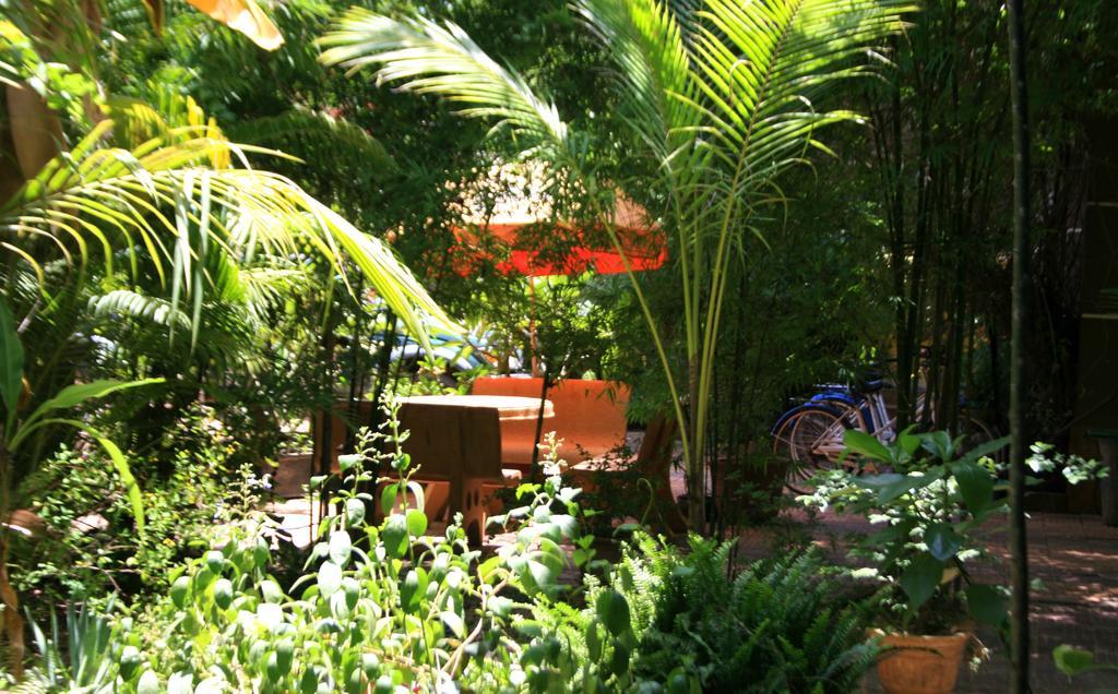 Firefly Guesthouse - The Berlin Angkor Ciudad de Siem Riep Exterior foto