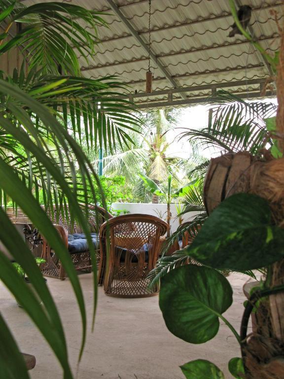 Firefly Guesthouse - The Berlin Angkor Ciudad de Siem Riep Exterior foto